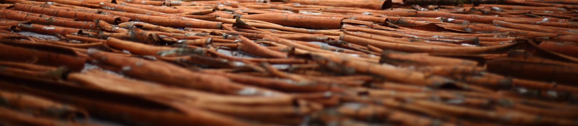 Raw Material Indonesian cassia cinnamon