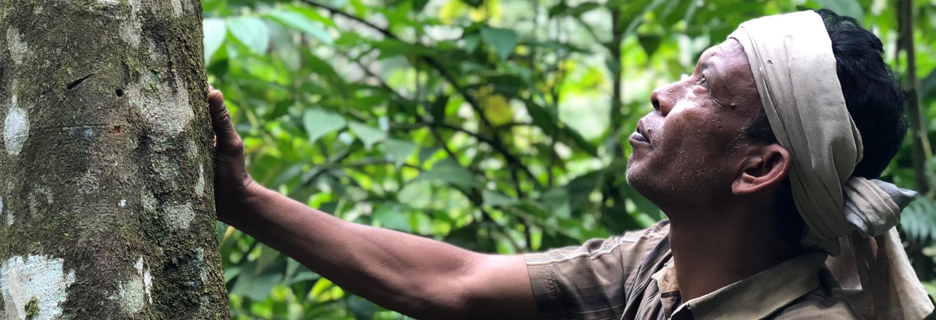 Traceability at Collins Higgins Commodities