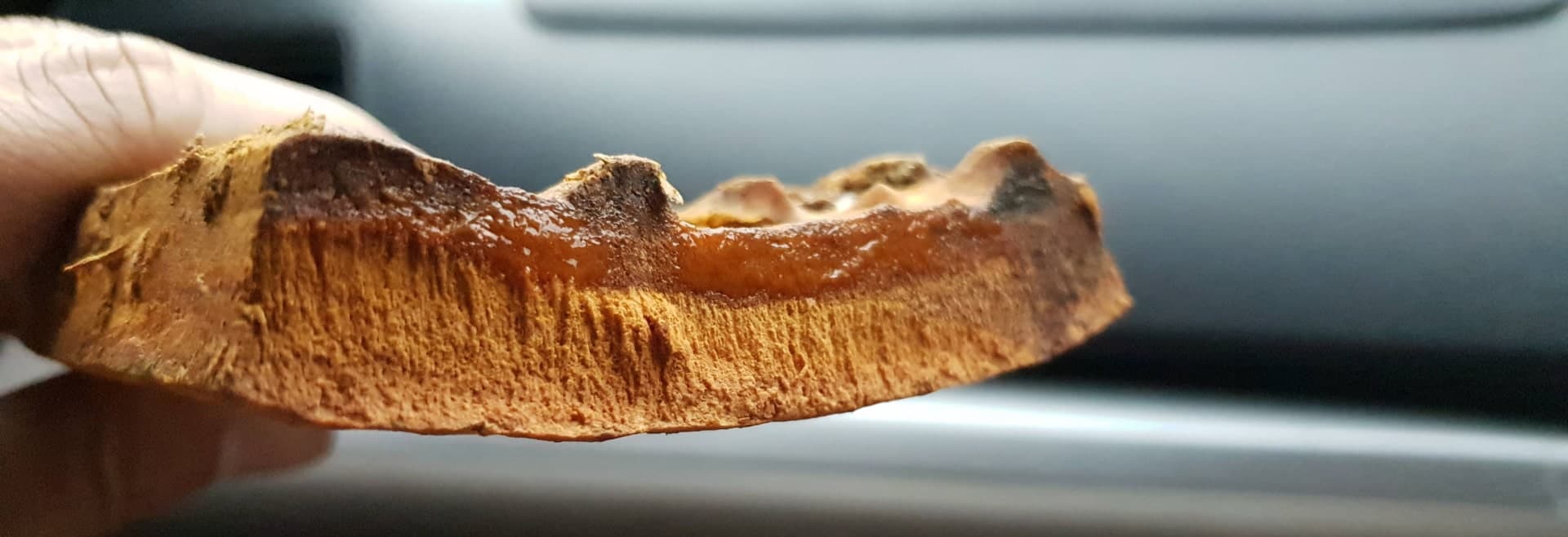 Collins Higgins Commodities laboratory in Medan